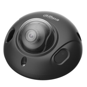 Dahua DH-IPC-HDBW3441F-AS-S2 (Zwart) – 4MP WizSense IR Domecamera met Microfoon, PoE en IK10